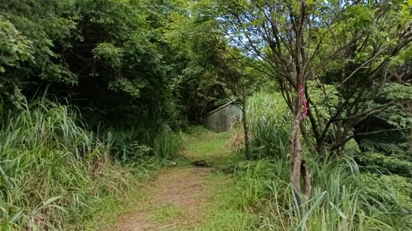 萬里區石門嶺古道(保甲路)-溪畔小徑-雙溪溝古道3087323
