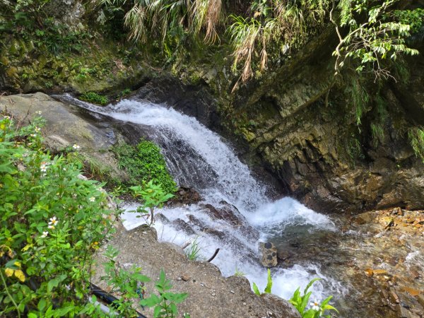 埔里觀音瀑布、天旨宮鰲頭山步道3093789