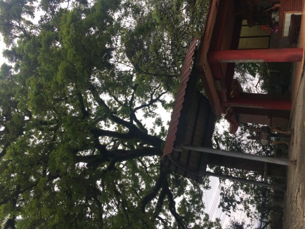 38溪洲山2729725