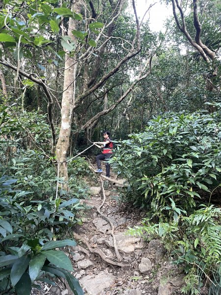 小百岳｜屏東獅子鄉女仍山1606859