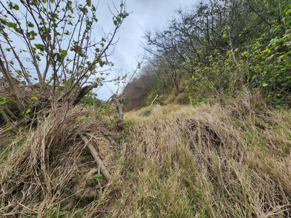20250101海口山、糠榔埔山、闖水窩山及大牛朝山2726190