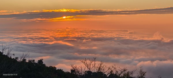 #觀音山 #雲海 #夕陽 #琉璃光 2/42993053