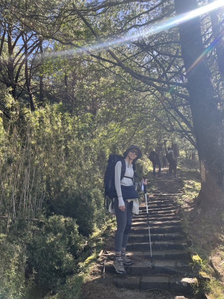 2025/08/17塔塔加、麟趾山、大鐵杉2891617