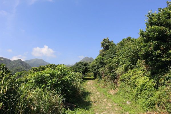 瑞芳南子吝登山步道204880