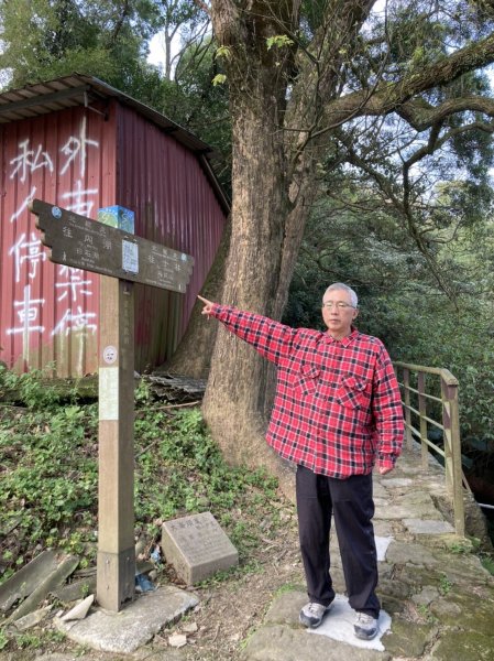 【臺北大縱走 4】大崙頭山北面步道1249603