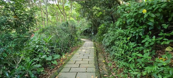 2020-0921虎山溪九五峰1108485