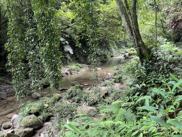 [皮皮獅探險隊-06/10] 2025_0706 四寮溪生態步道2831981