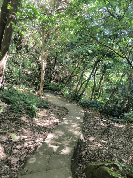 20251010微笑山線：【五分山系】平溪小黃山段 - 健行筆記2910172