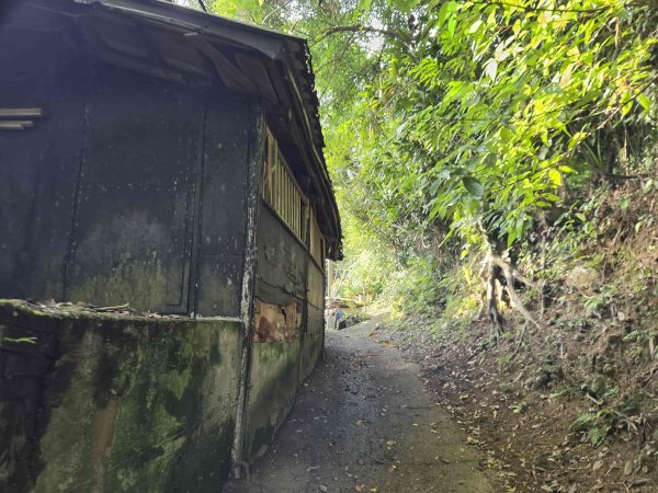 20260916三脚木山西北-主峰-西北西-西峰3120438