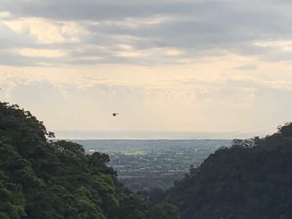 三角崙山、聖母登山步道1638341