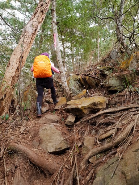 20190106硬陡的第八雄-阿冷山500803