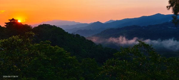 石碇趴趴走追雲趣 #二格山 #雲瀑 #藍腹鷴母鳥 #雲海流瀑 #霧虹 5/172788213