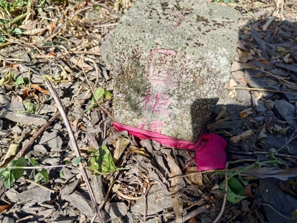 盆貿里山三盆連走2749583