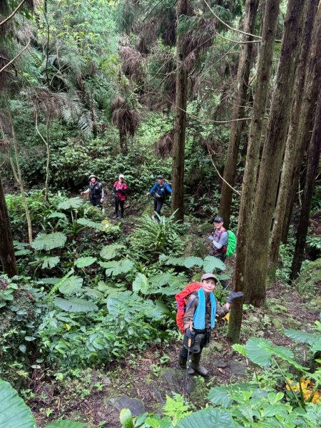 鵝公髻山採桃趣-202505302865298