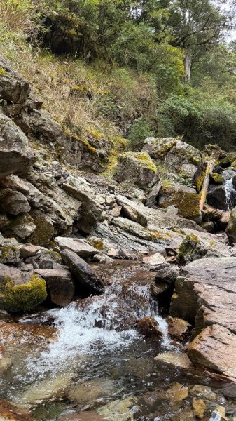 小關山 神池 2026 01/09 兩天一夜2982149