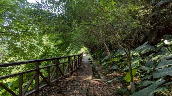 114.06.01溪山百年古圳-太平尾山+聖人崙之旅2801826