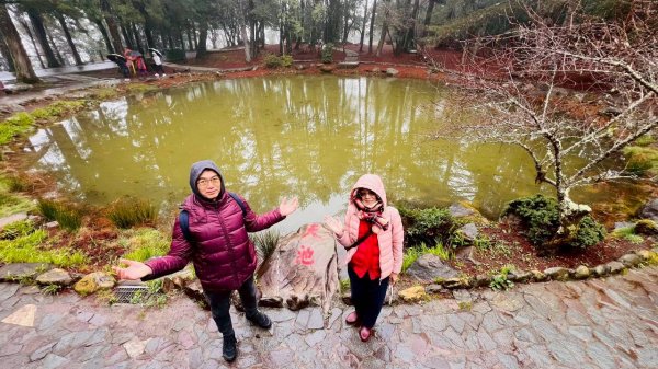 🌈3/1（日）福壽山農場~千櫻園✨FB：熊熊趴爬走🌈3008568