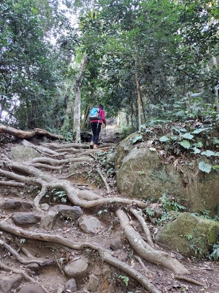 【苗粟 | 馬拉邦山】1227234