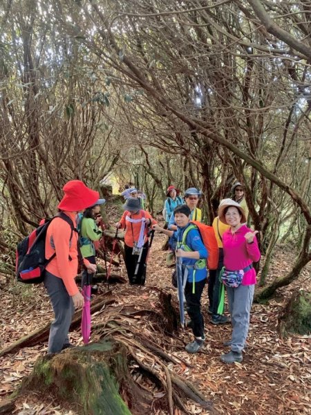 觀霧-榛山步道2926041