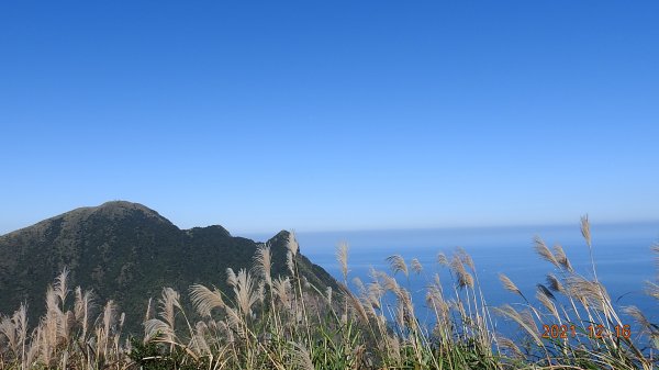 人品大爆發?天道酬勤?雲海好美好滿，芒花季再度大台北三寶之茶壺/半屏/燦光寮山1552239