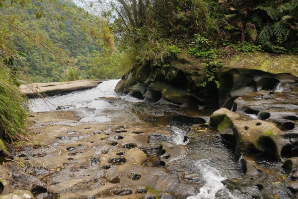 三貂嶺步道與柴寮古道 各自精采514397