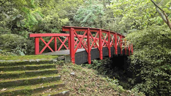 20250503藍鵲峰-平溪子山-畝畝山-青林山2777591