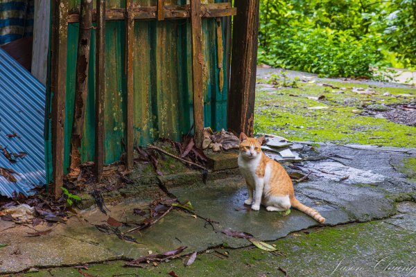 [屏東]笠頂山2847888