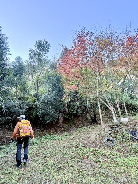 苗栗冷門山--蕃婆石山5基石連登   2026.01.112981355