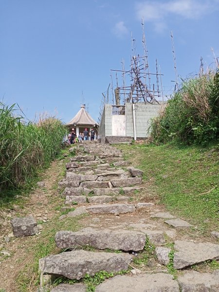 【小百岳集起來】落英繽紛、視野遼闊基隆山1293320