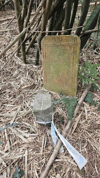 20251226糖塔山-埤塘窩山-石頭坑山2974958