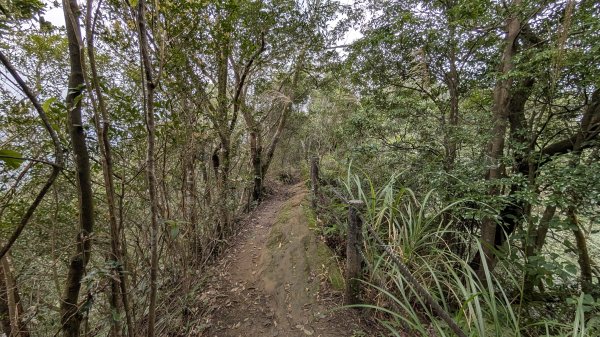 114.12.14黃帝殿西峰-天王峰-黃帝殿東峰之旅2962027