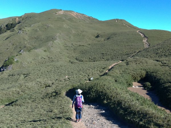 【南投縣仁愛鄉】合歡群峰2天1夜(下)1028152