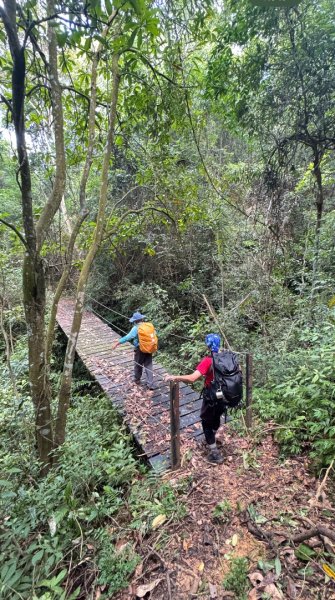 阿里眉山+大舌滿山（路跡不明/未竟 ）2866338