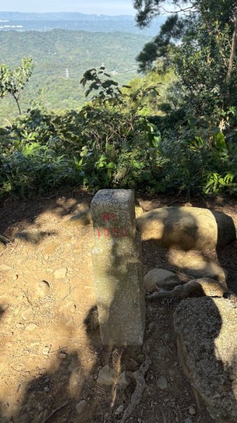 2025-11-30 飛鳳山 走來回2952652