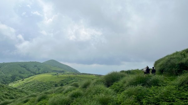 230701 擎天崗環形步道 🐂2201269