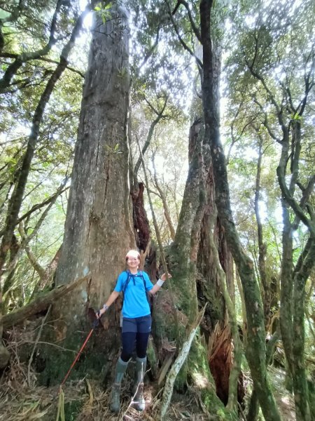 低陸山-嘎拉賀神木1765087