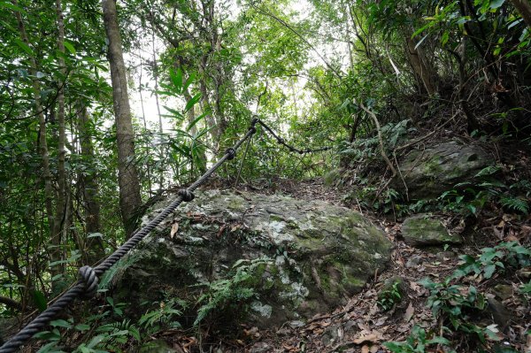 新北 烏來 大刀山、拉樸山、阿玉溪山2704959