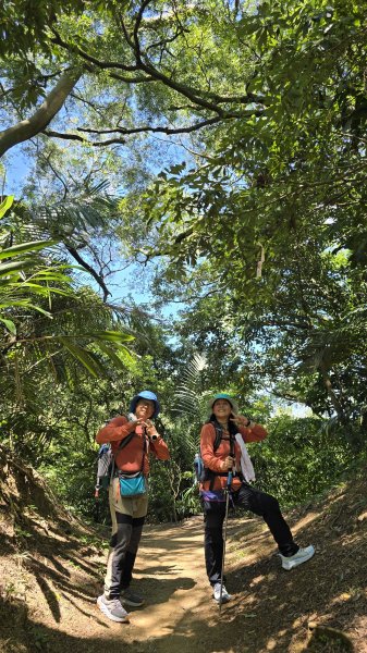 微笑山線大棟山系405高地＋百年大榕樹段，經典路線樹鶯縱走，串連青龍嶺、大同山等山峰2848374