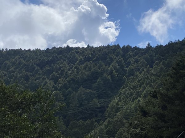 大雪山小雪山馬鞍山3061361