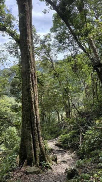 20250629三峽雲森瀑布2837780