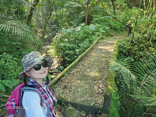 【淡蘭古道中路】崩山坑古道全段＆虎豹潭野餐2572638