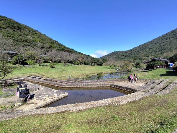 【臺北大縱走 2】【第二回合全程完成證書】鞍部→大屯山步道→大屯山主峰→大屯坪步道→二子坪步道2960413
