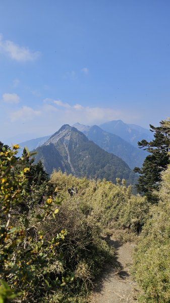 【閒閒南橫摘星去！】百岳#077關山嶺山。美麗壯闊中卻帶點淡淡哀愁的南橫公路。3036077