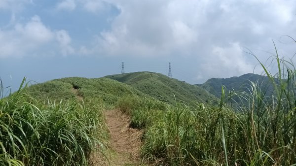 雙溪區不厭亭-牡丹山-金瓜石福德-樹梅坪-不厭亭-金字碑探幽亭-三貂崙-不厭亭8字走3111407