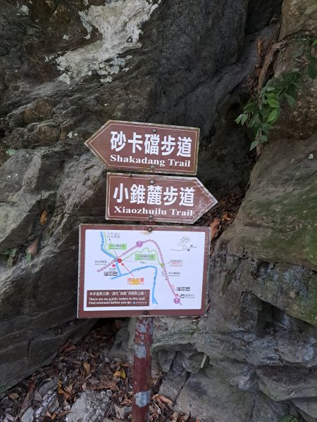 砂卡礑二日行D2：大同部落→千里眼山→砂卡礑步道→小錐麓步道→遊客中心202312032368736