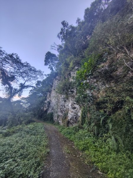 多納六秀 京大山2957575