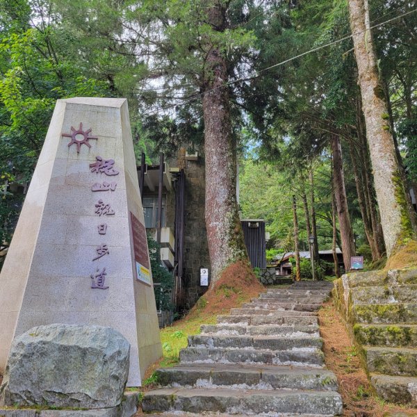 阿里山國家森林遊樂區2549502