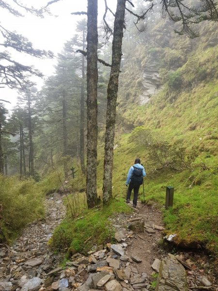 畢羊縱走-畢祿山羊頭山（百岳×9、10）1000555