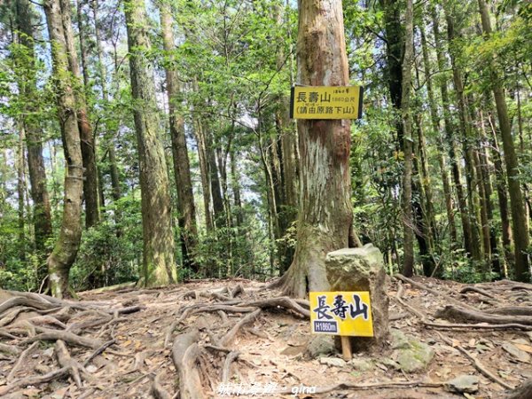 【台中和平】長壽山_肥崠山_山徑
