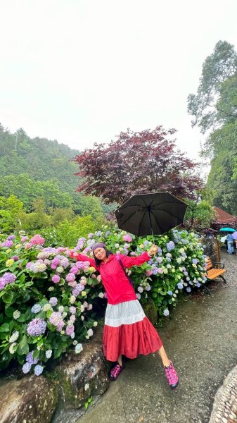 🌈5/25（日）台灣觀巴~愛上杉林溪–忘憂森林．妖怪村一日遊❤️FB：熊熊趴爬走🌈2798117